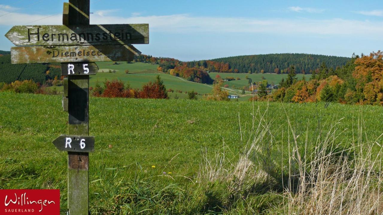 Goebels Landhotel Willingen  Eksteriør billede